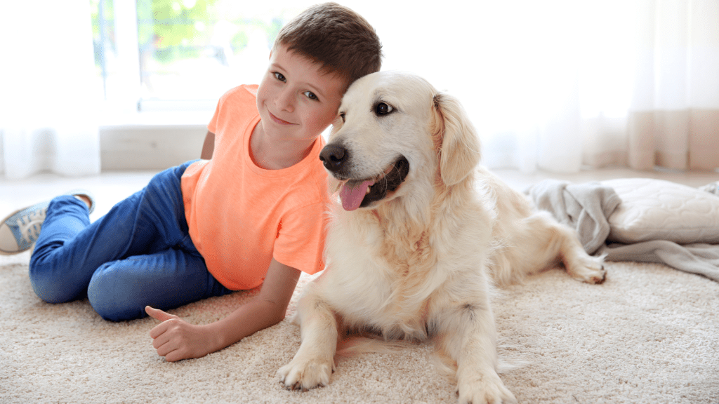 St Albans family enjoying freshly cleaned carpet protected by warranty. Professional Carpet Cleaning in St Albans.