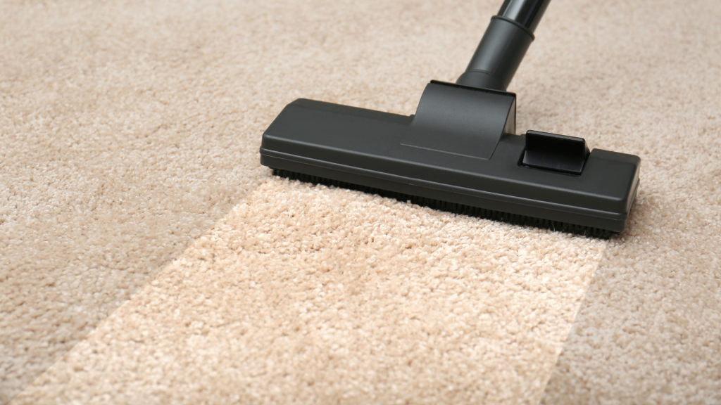 Professional Carpet Cleaning St Albans by The Right Clean