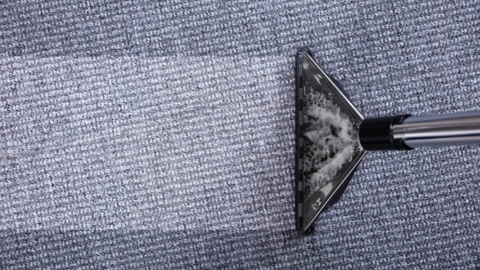Before and after images of a carpet with tough stains removed by professionals.