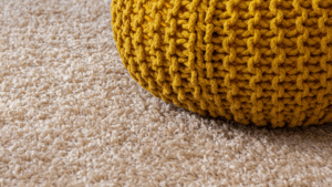 Living room with professionally cleaned carpets, creating a fresh and inviting space.