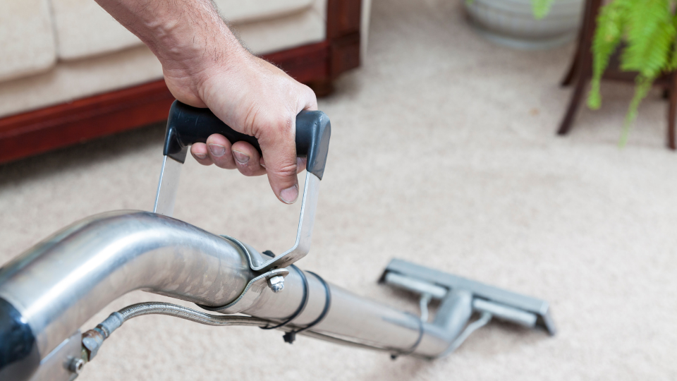 Professional carpet cleaning in action to demonstrate deep cleaning benefits.