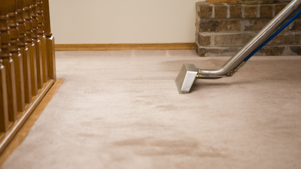 Professional hot water extraction carpet cleaning in St Albans. Professional Carpet Cleaning in St Albans.